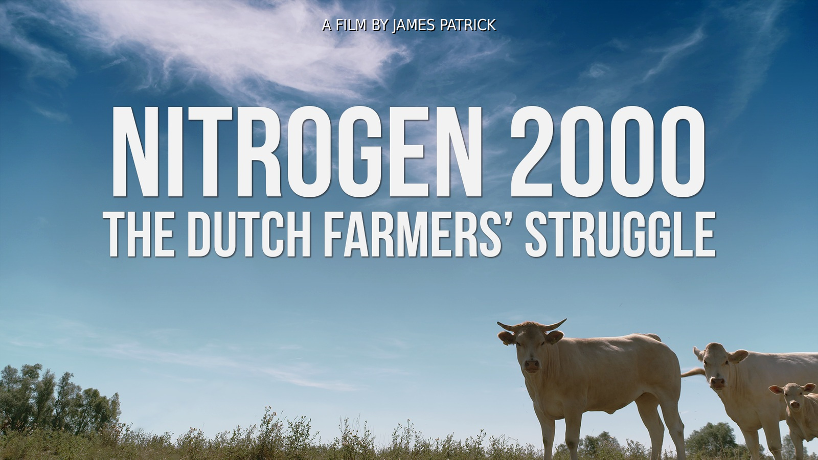 Nitrogen 2000