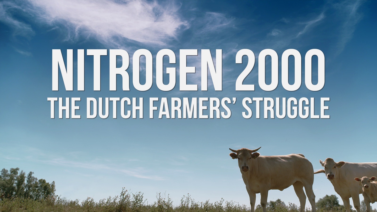 NITROGEN 2000 Trailer