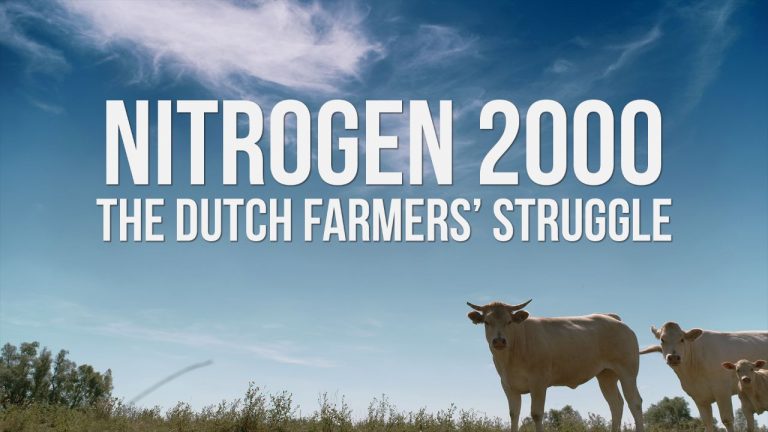 Why are Dutch Farmers Protesting?