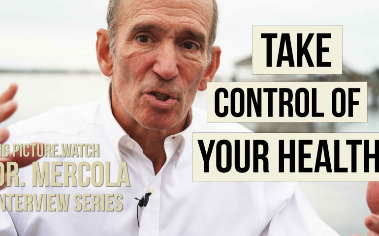 TAKE CONTROL OF YOUR HEALTH | Dr. Mercola BIG PICTURE